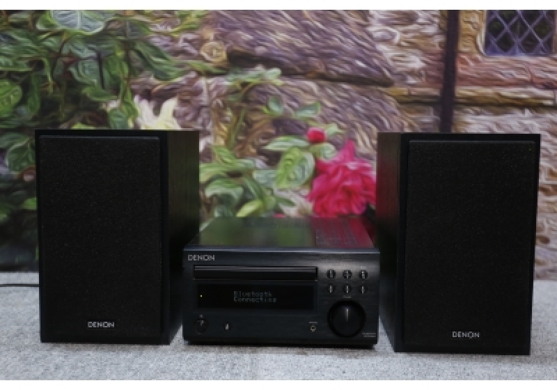 DENON D-M41
