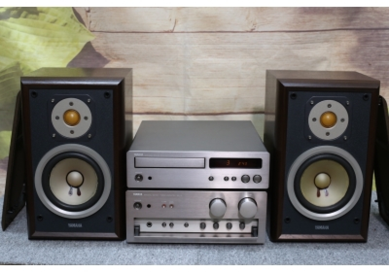 YAMAHA AX-10
