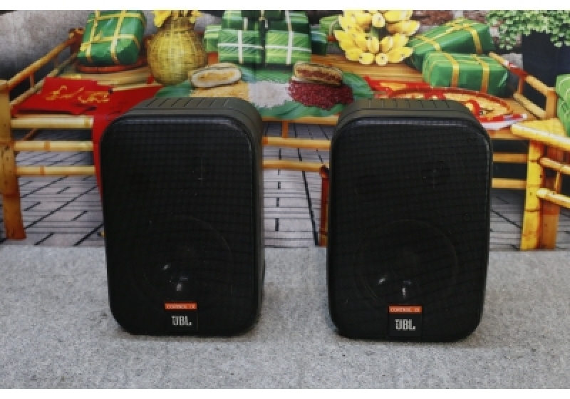 JBL Control 1