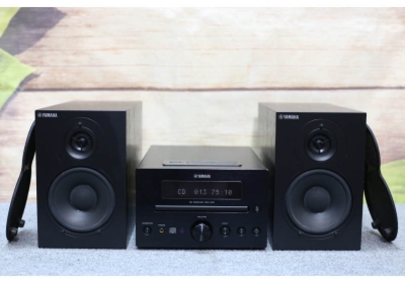 YAMAHA CRX 330