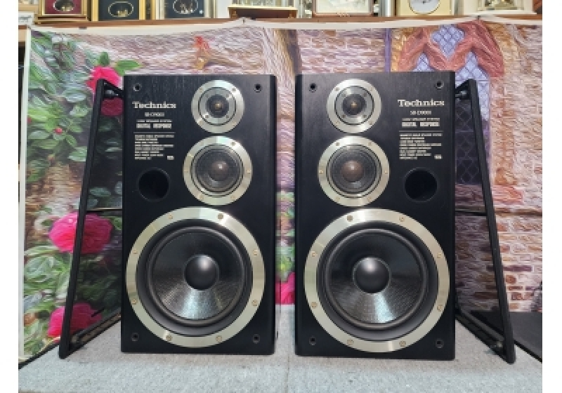TECHNICS SB-D9000
